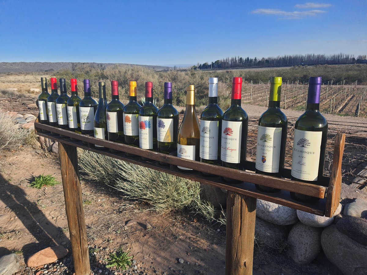Atamisque, Valle de Uco Mendoza