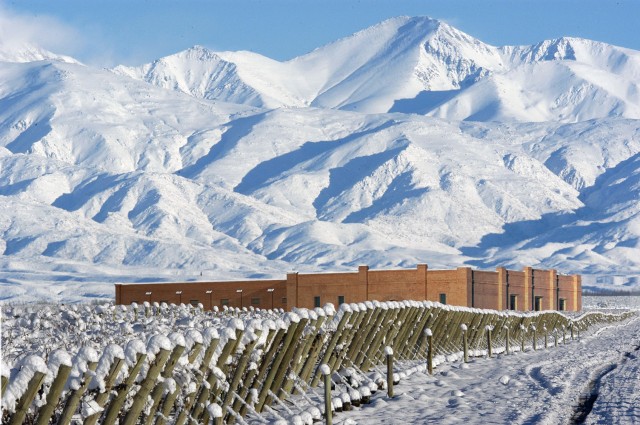  Mendoza y glaciares andinos 