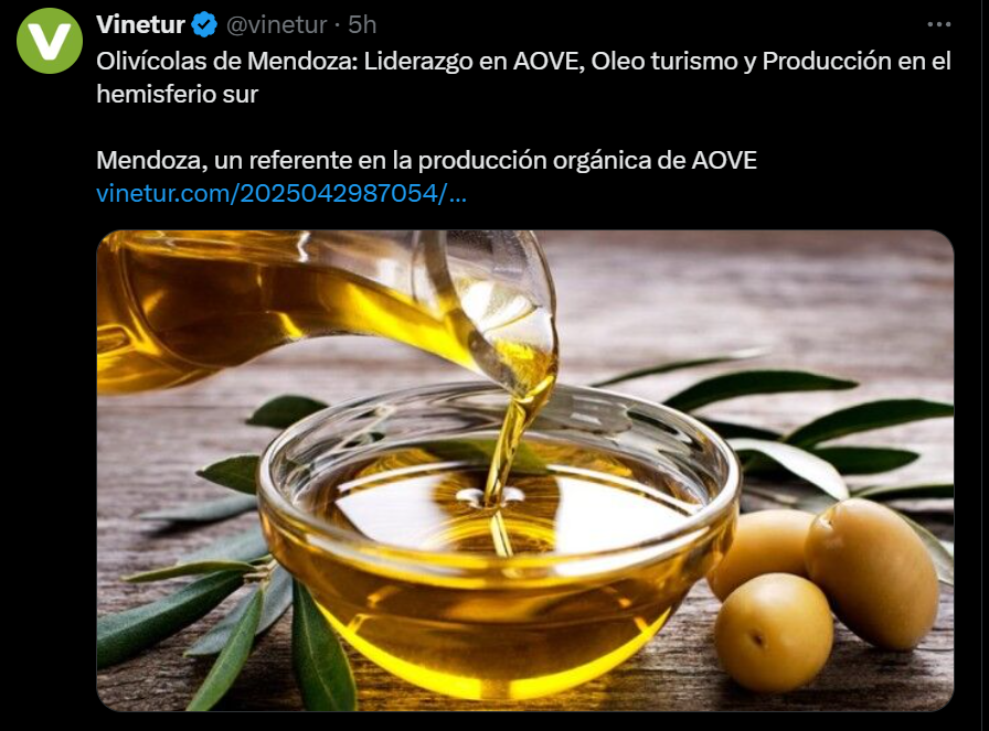 Olivícolas de Mendoza: Liderazgo en AOVE, Oleo turismo y Producción en el hemisferio sur Mendoza, un referente en la producción orgánica de AOVE 