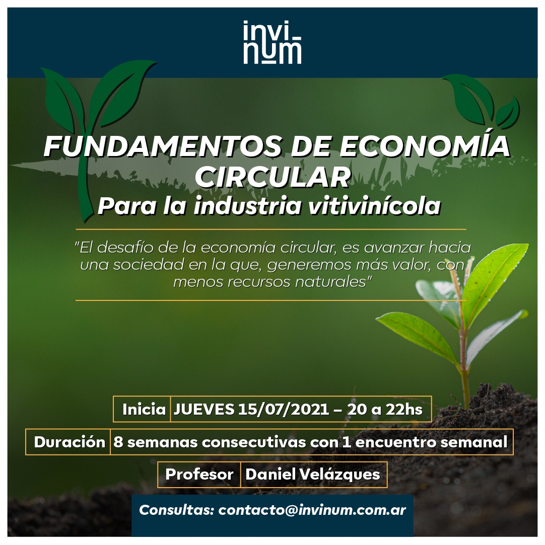 Curso virtual